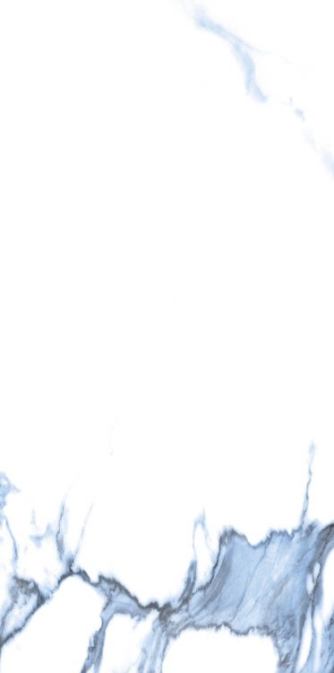 Calacatta Blue Polished 12 x 24